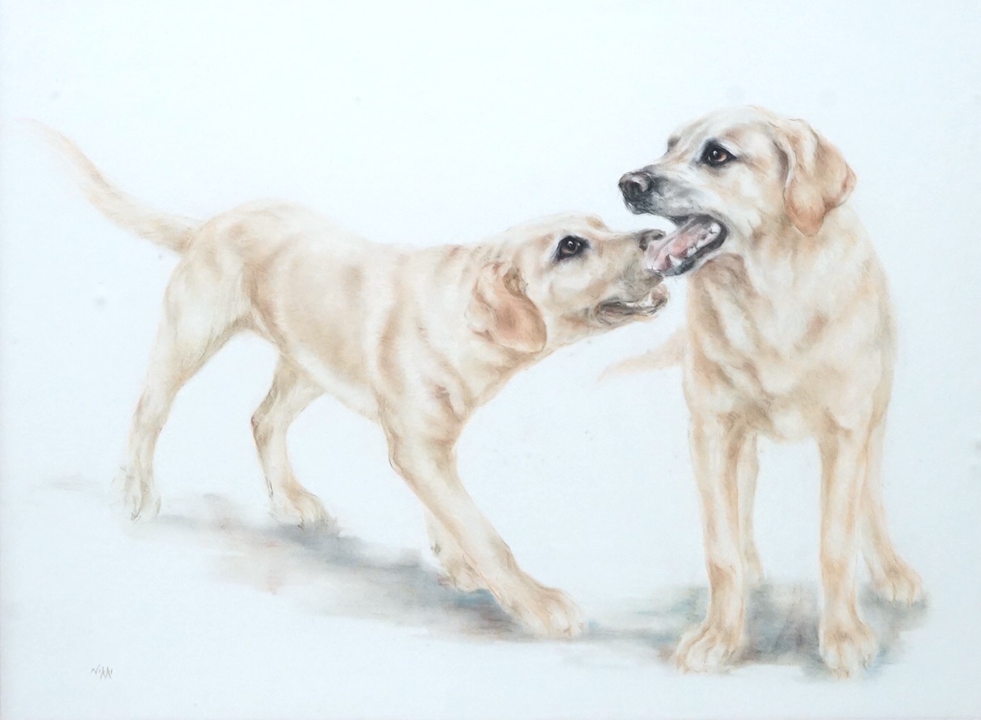 Nikki, mixed media, Study of two yellow labradors, signed, 46 x 63cm